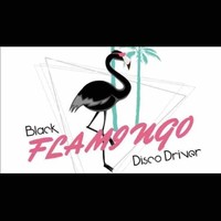 Black Flamingo 