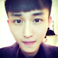 李成力