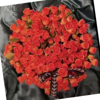 نوال العنزي