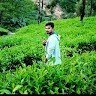 Elavarasu Ela