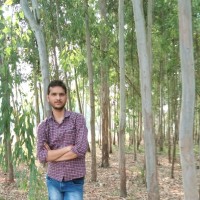 Harisharan Maury