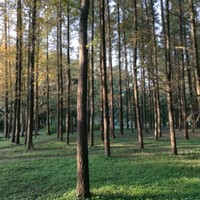 李银春