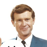 Mr Nice