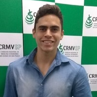 Kauê Ribeiro