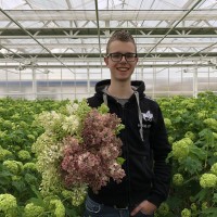 Jeroen Buis