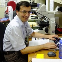 Serdar Balcı