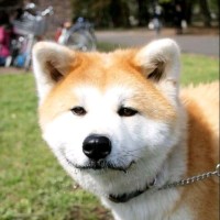 陈逸超