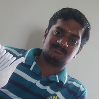 Parthasarathi N