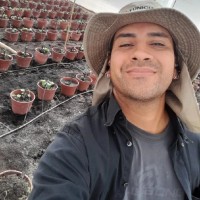 Eduardo Javier Cortes Soto