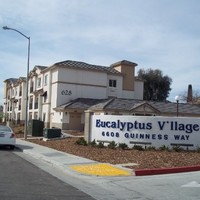 Eucalyptus Village