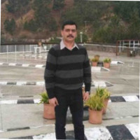 Saeed Ullah
