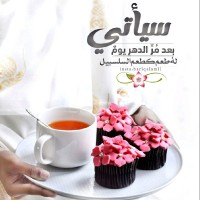 نور الهدى