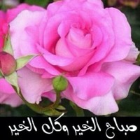 Ahmed Khalil