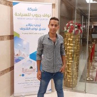 Amer Ezz