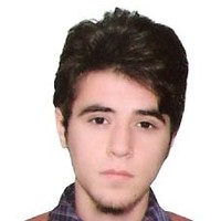 yasa salmany