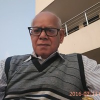 Mahendra Raizada