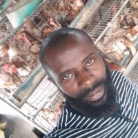 Daniel Chidi