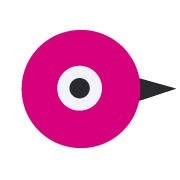 Studio Bird Idea