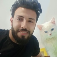 Mohamed Elfeky
