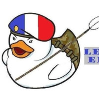 Canard En Colère
