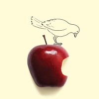 Flying Bird