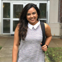 Palak Salecha