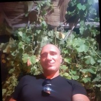 Domenico Verdone