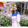 Tô Lan Anh