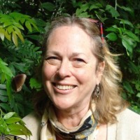 Linda Hartka-Reiss