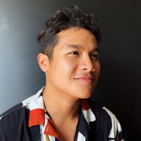 Vu Francois
