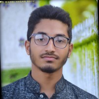 Md Mahdi Hasan Raju