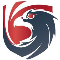 Safety Falcon