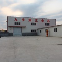 王齐飞