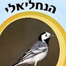 osnat aviv
