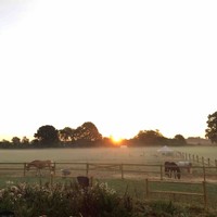 Joakim Kvist Bjerrum