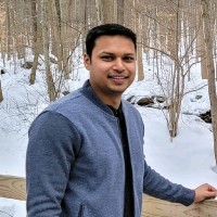 Ankit P.