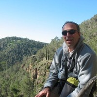 haim ben evgi