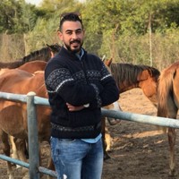 Nasser Alshalabi