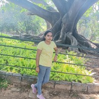 Renuka N M