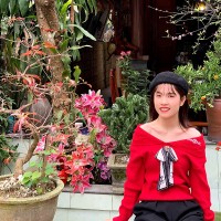 Tú Trần