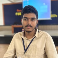 Parthasarathi p