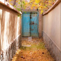 لیلا اشکانی