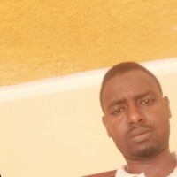ismail bashir nour