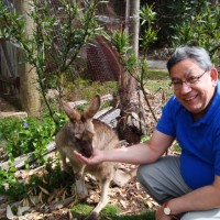 Nelson Davila