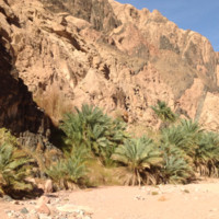 Naser Nasar