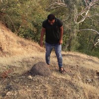 Rohit Hariyale