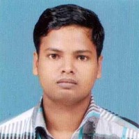 Hamza v p
