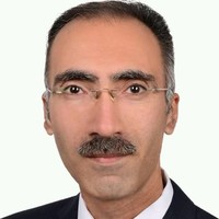 Hany Michel