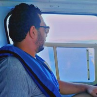 محمود الهواري