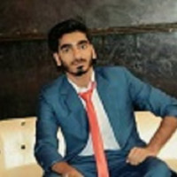 Web Developer